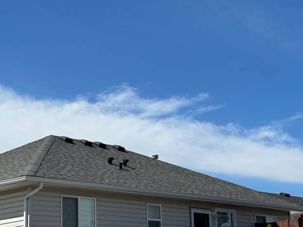 Best Skylight Installation and Repair  in Brooklyn, IN